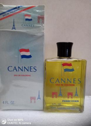 Cannes pierre vivion 1 мл пробник распив аромата