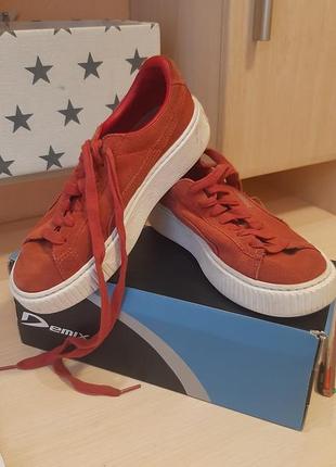 Кеди жіночі