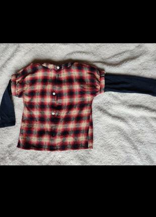Кофта, рубашка, кофточка, батник, рубашечка, блузка manai4 фото