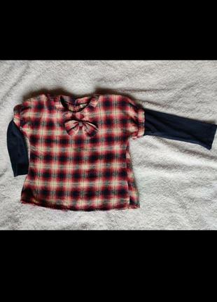 Кофта, рубашка, кофточка, батник, рубашечка, блузка manai1 фото