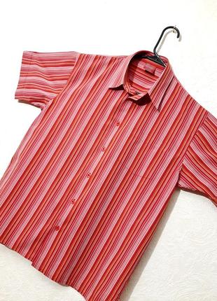 Style bali стильная рубашка в полоску красная чёрная жёлтая розовая мужская с коротким рукавом