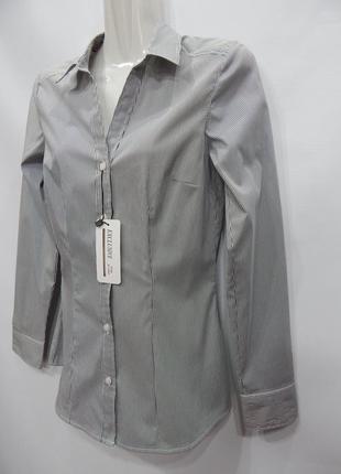 Блуза-рубашка фирменная женская h&m 110-122  р.42-44  012бж4 фото