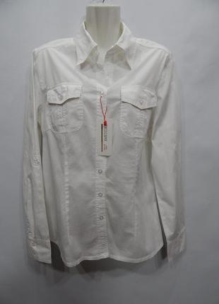 Блуза фирменная женская хлопок р. 48- 50 072бж (только в указанном размере, только 1 шт)