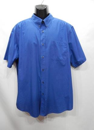 Мужская рубашка с коротким рукавом basic edition р.54 153дрбу батал
