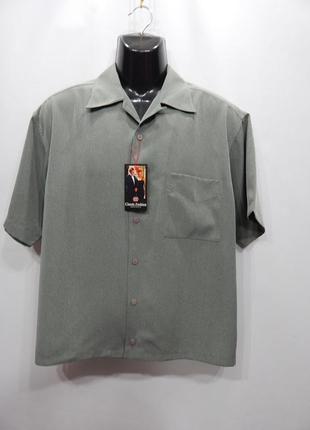 Мужская рубашка с коротким рукавом pavo оригинал р.48 (018кр)