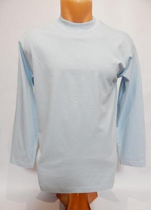 Футболка мужская с длинным рукавом hanes heavy-t р.46 014fmdl (только в указанном размере, только 1 шт)