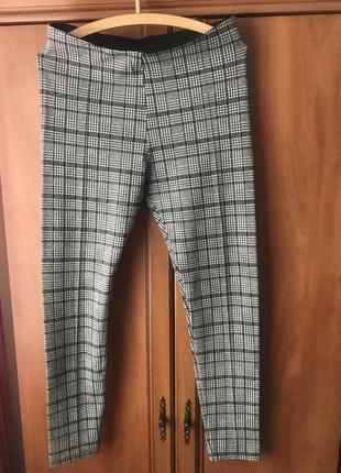 Штани (лосіни)