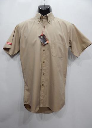 Мужская рубашка с коротким рукавом fashion seal оригинал р.46 (039кр)