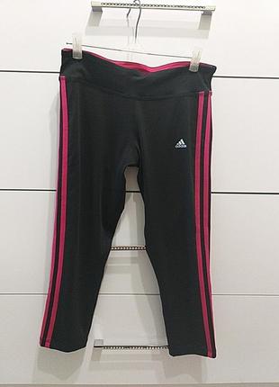 Спортивные лосины adidas1 фото