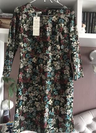 Сукню.розпродаж.4 фото