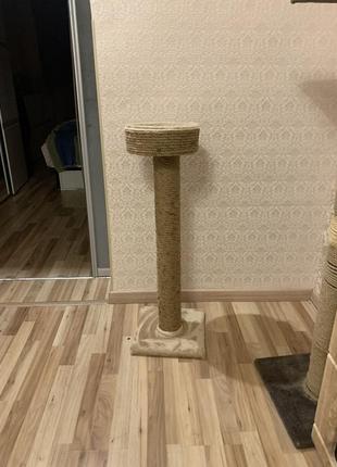 Когтеточка