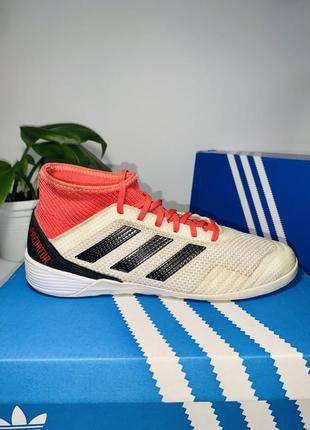 Сороконіжки adidas predator4 фото