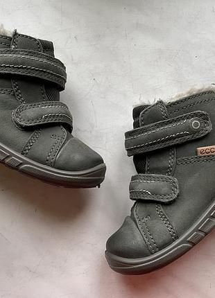Кожаные зимние ботинки ecco gore-tex 21 р 2