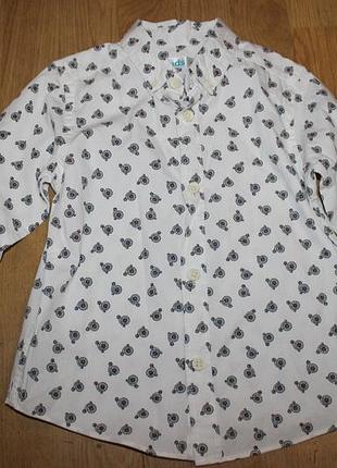 Стильна сорочка , сорочка kids m&co
