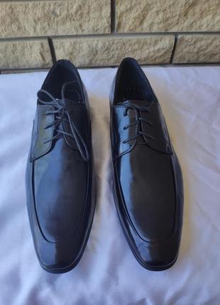 Туфлі чоловічі шкіряні модельні scotee