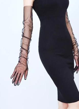 Фатинові перчтаки