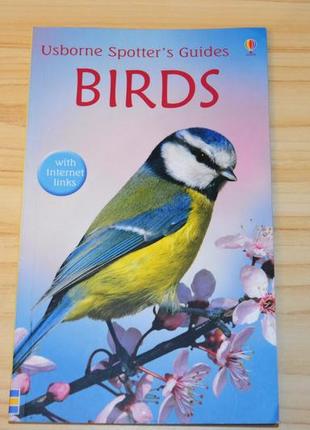 Birds, детская книга на английском