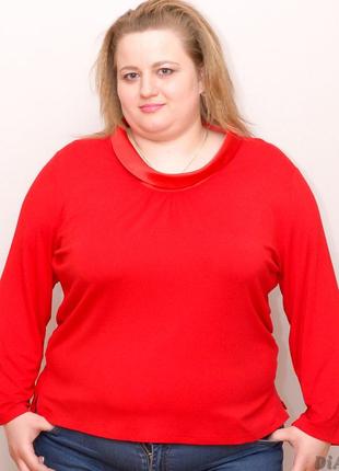 Блуза женская больших размеров, коттоновая стрейчевая natali, турция2 фото