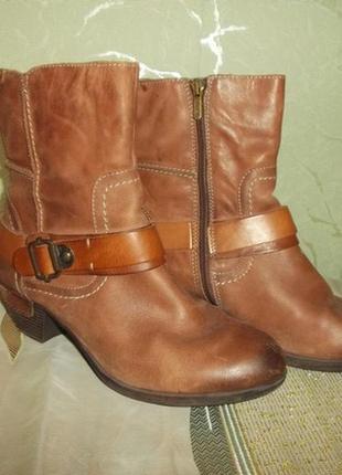 Фирменные полусапожки кожа коричневые сапожки  р.39 - pikolinos