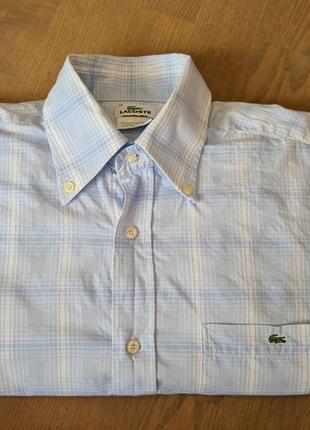 Чоловіча синя сорочка lacoste