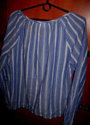 Блуза полоска голубая4 фото