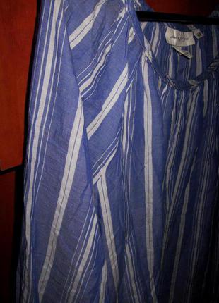 Блуза полоска голубая3 фото