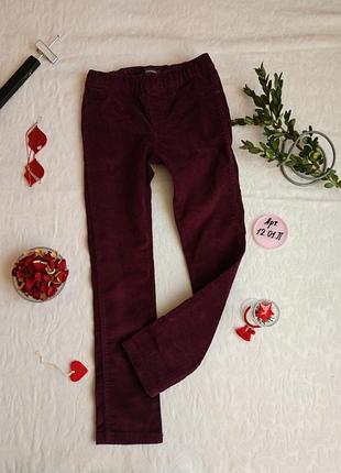 Вельветы in extenso 8 лет