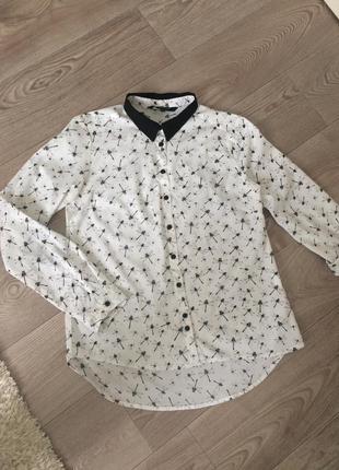 Блуза reserved р.34