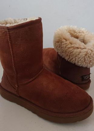 Зимові уггі ugg australia оригінал з сша