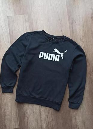 Свитшот puma1 фото