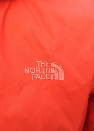 The north face2 фото