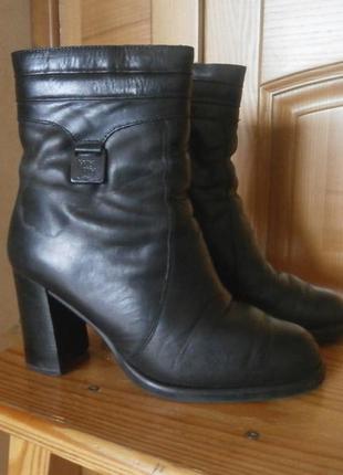 Півчобітки