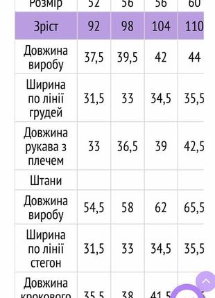 Теплий костюм худі з капюшоном та штани джоггеры начіс7 фото