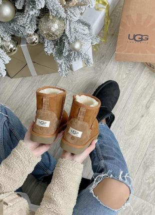 Ugg classic mini ii boot зимние женские сапоги угги6 фото