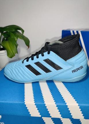 Футзалки adidas predator3 фото