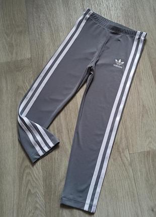 Лосинки adidas на 3-4 года