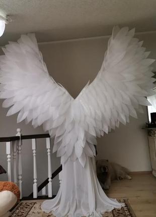 Крылья ангела7 фото