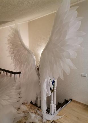 Крылья ангела9 фото