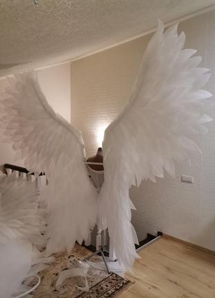 Крылья ангела10 фото