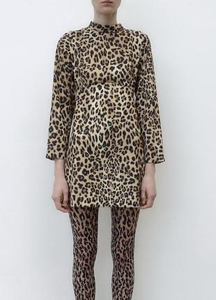 Zara платье леопард и воротник стойка