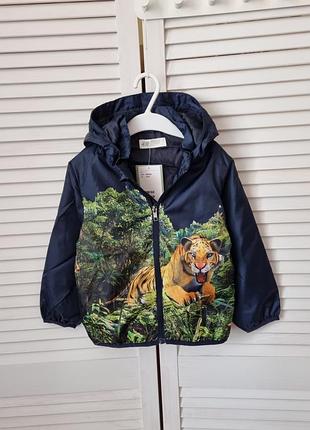 Ветровка с капюшоном 8