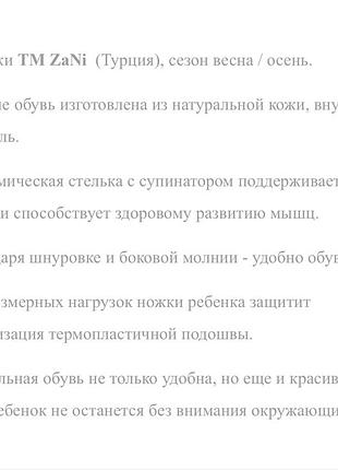 Ботинки демисезонные 2