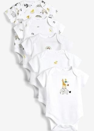 Набір боді next🔥 під замовлення🔥