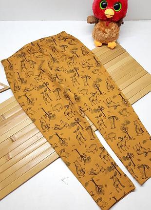 Легкі штанці