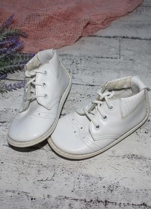 Хайтопы, ботинки кожаные pex 19 р-р