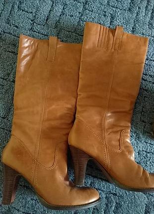 Чоботи жіночі f&f