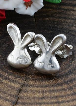 Срібні сережки