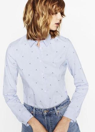 Сорочка zara в зонтах