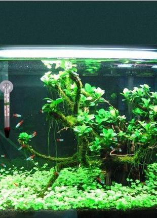 Градусник для акваріума - довжина градусника 11см, на присоску3 фото