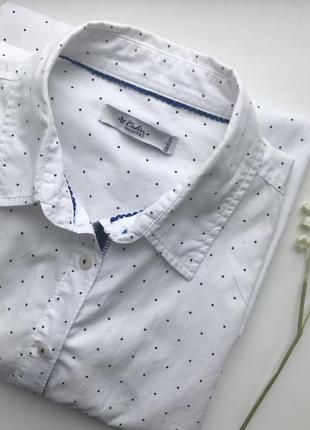 Белая рубашка в горошек